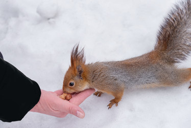 Similar image 21534111