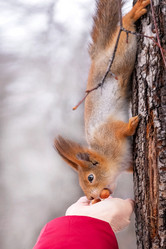 Similar image 21530583