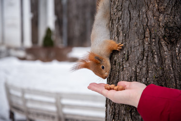 Similar image 21534113