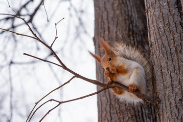 Similar image 21535514