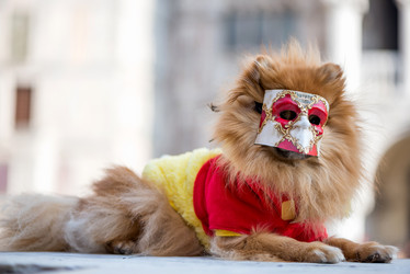 Similar image 21542518