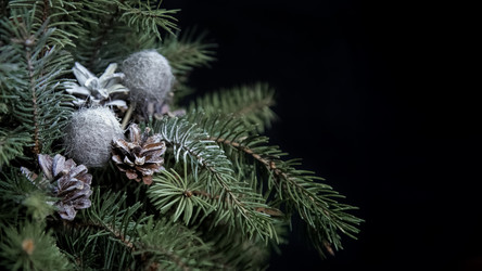 Similar image 21531527