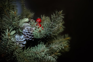 Similar image 21534117