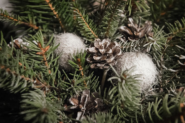 Similar image 21529581