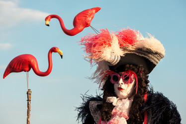 Similar image 21537758