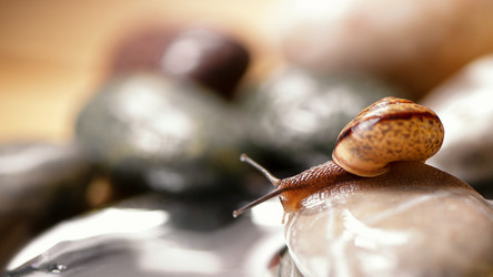 Similar image 21534138