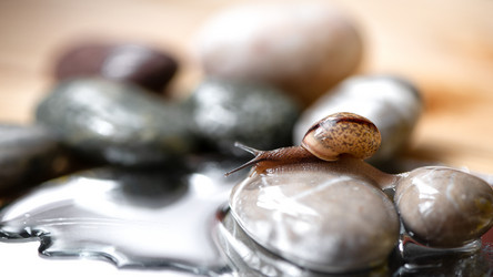 Similar image 21529586