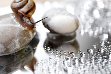 Similar image 21535295