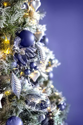 Similar image 21534139