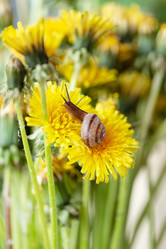 Similar image 21535296