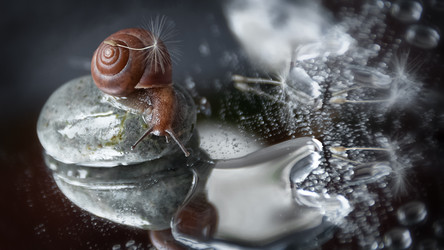 Similar image 21535297