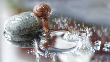 Similar image 21535298