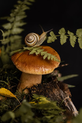 Similar image 21531051