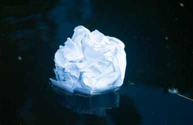 Similar image 21534154