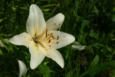 Similar image 21534168