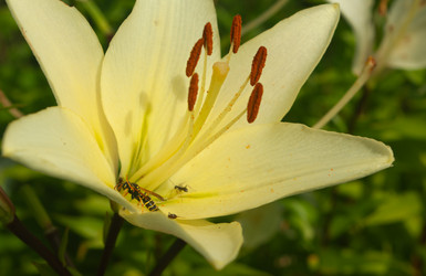 Similar image 21534169