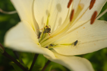 Similar image 21534170