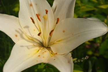 Similar image 21534172