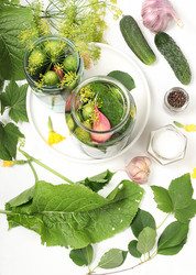 Similar image 21528838