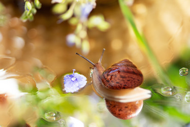 Similar image 21531304