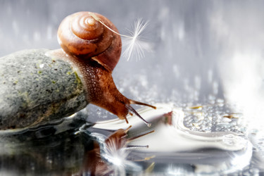 Similar image 21534180