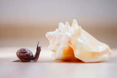 Similar image 21530592