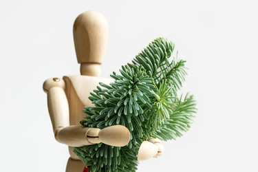 Similar image 21531530