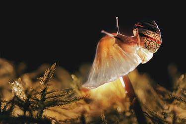 Similar image 21530593