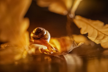 Similar image 21529591