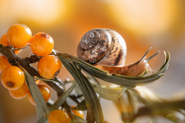 Similar image 21529362