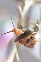 Similar image 21529363