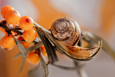 Similar image 21531427