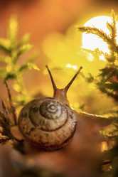 Similar image 21529365