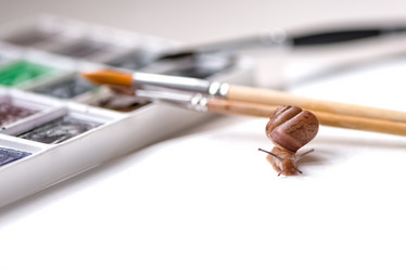 Similar image 21530466