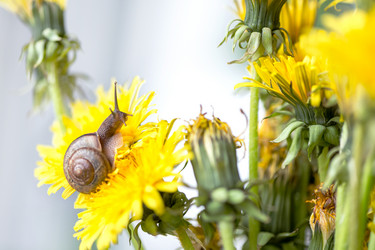 Similar image 21530467