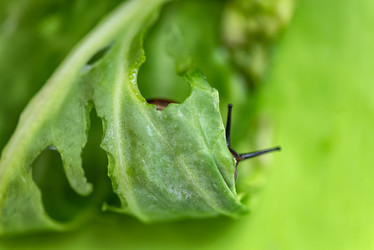 Similar image 21529367