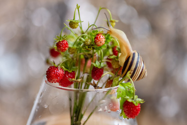 Similar image 21530469