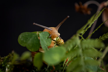 Similar image 21530470