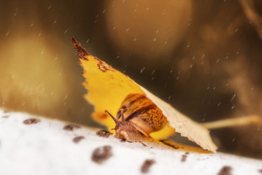 Similar image 21529500