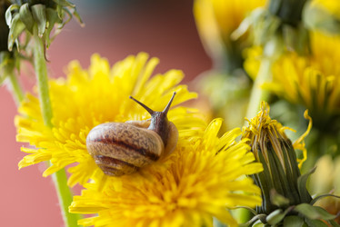 Similar image 21534232