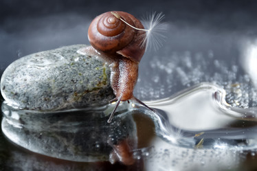 Similar image 21534233