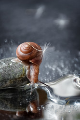 Similar image 21535299