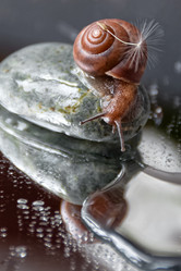 Similar image 21531058