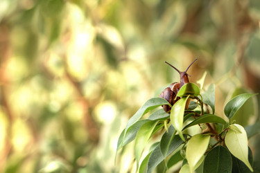 Similar image 21529547