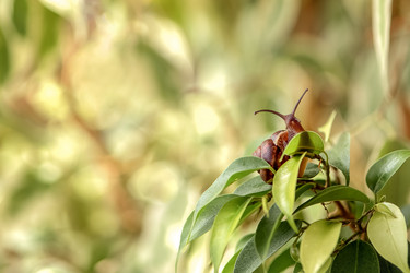 Similar image 21531470