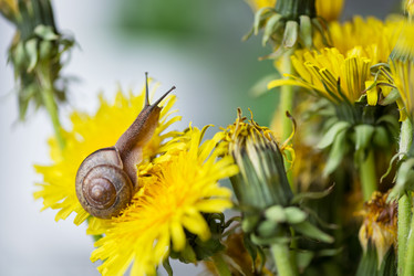 Similar image 21531471