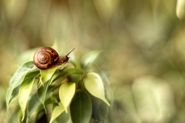 Similar image 21530473