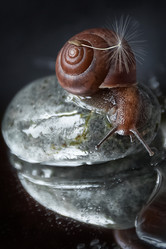 Similar image 21529548