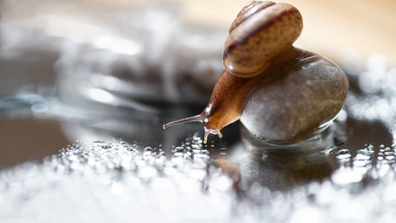 Similar image 21531493