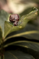 Similar image 21529553